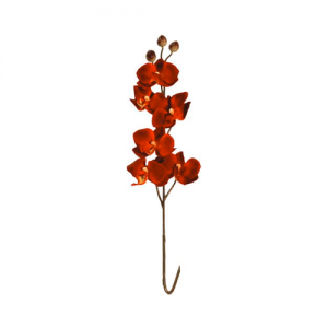 roseaux-orchidee-rouge